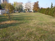 p1040031