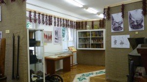 P1080801