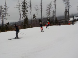 DSCN2093
