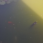 20160531_102010web