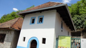DSC05946