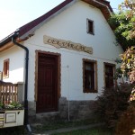 DSC05980