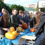 IMG_7184web
