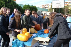 IMG_7184web