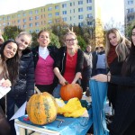 IMG_7187web