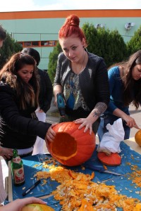 IMG_7215web