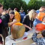 IMG_7221web