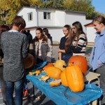 IMG_7234web
