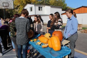 IMG_7234web