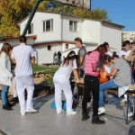 IMG_7246web