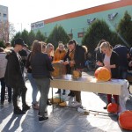 IMG_7247web