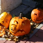 IMG_7250web