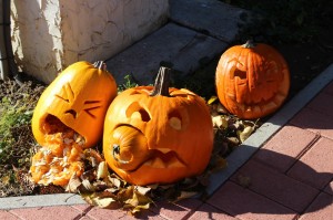 IMG_7250web