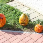IMG_7251web