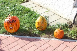 IMG_7251web