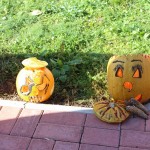 IMG_7253web