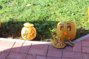 IMG_7253web