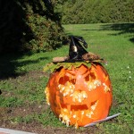 IMG_7257web