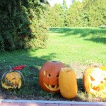IMG_7258web