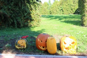 IMG_7258web
