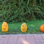 IMG_7259web