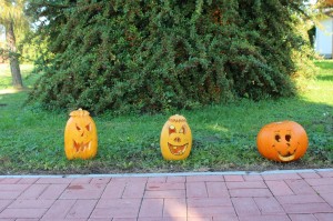 IMG_7259web
