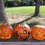 IMG_7260web