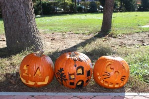 IMG_7260web