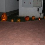 IMG_7279web