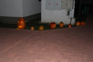 IMG_7279web
