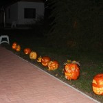IMG_7280web