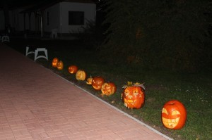 IMG_7280web