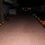 IMG_7284web