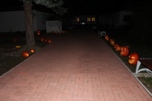 IMG_7284web