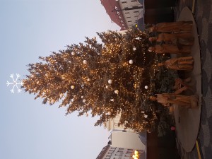 20161216_161355