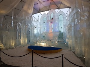 20170111_152948web