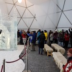 20170111_153038web