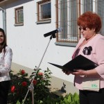 IMG_9541web