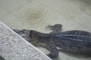 IMG_7623web