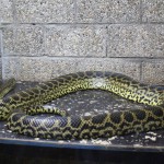 IMG_7624web
