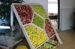 IMG_7676web