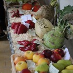 IMG_7688web