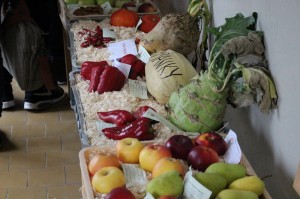 IMG_7688web