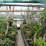 IMG_7696web