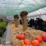 IMG_7705web