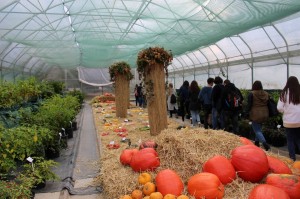 IMG_7705web